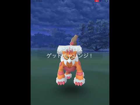 【ポケモンGO】初めて、ランドロス(れいじゅうフォルム)の捕獲に挑戦！