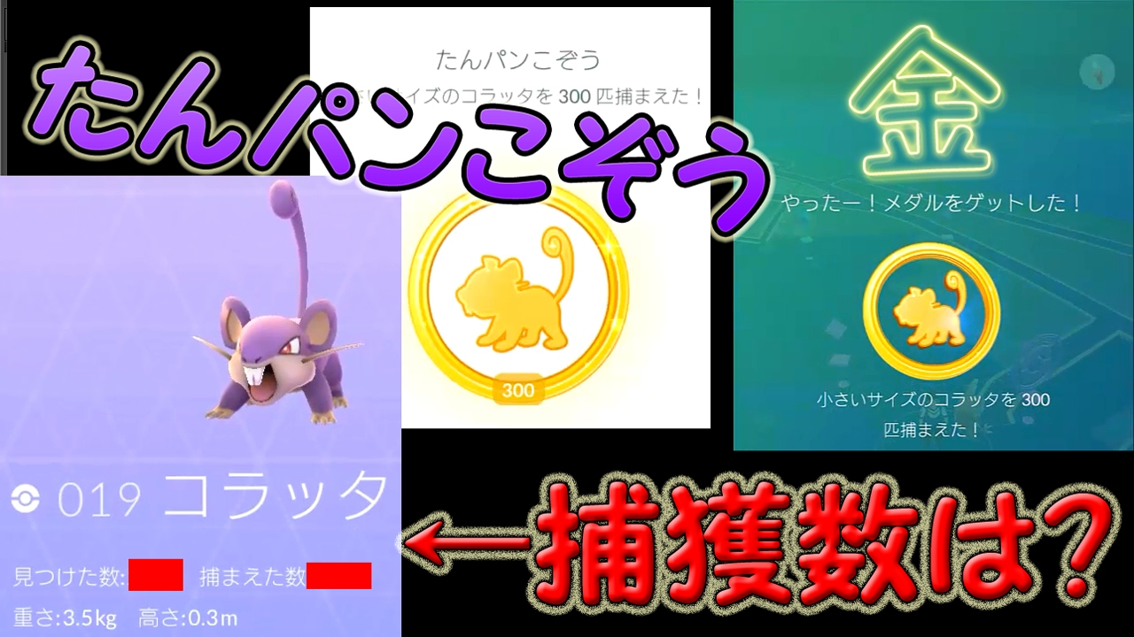 コラッタのメダル【たんパンこぞう】終了！必要だったコラッタの捕獲数は？