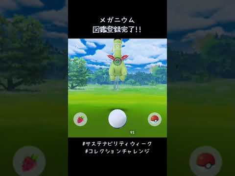 ランチはハーブルアーの下で🌿 ウツドン&クサイハナを捕まえてメガニウム図鑑登録完了✍️ #ポケモンGO #サステナビリティウィーク #コレクションチャレンジ