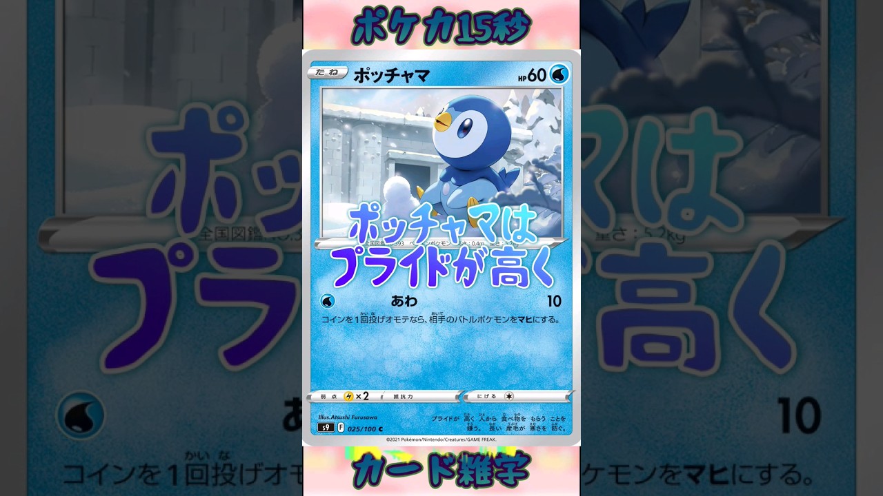[ポケモンカード]ポケカ15秒雑学‼️ポッチャマ‼️