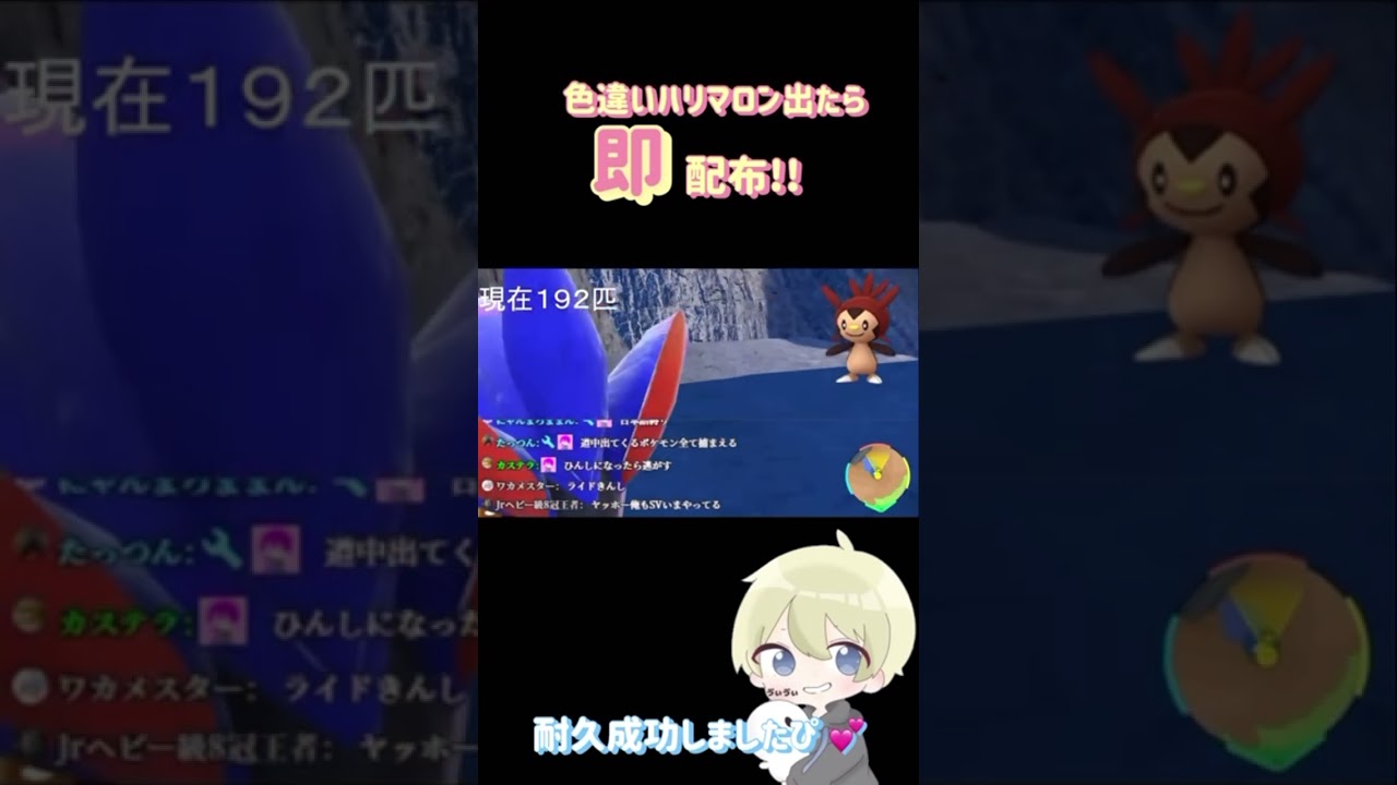 【ポケモンSV】色違いハリマロン耐久配信！出たら即配布！色違いが出た瞬間！　#ポケモンsv #耐久配信 #色違い厳選 #ハリマロン #shorts