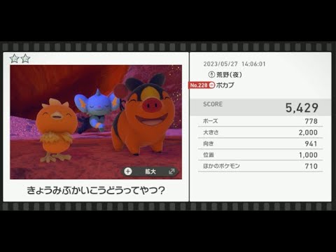 【Newポケモンスナップ】★2ポカブ5429