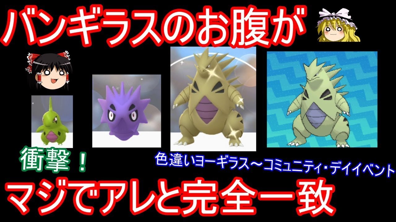 バンギラスのお腹がマジでアレと完全一致【ポケモンGo】【ゆっくり実況】色違いヨーギラス～コミュニティ・デイイベント