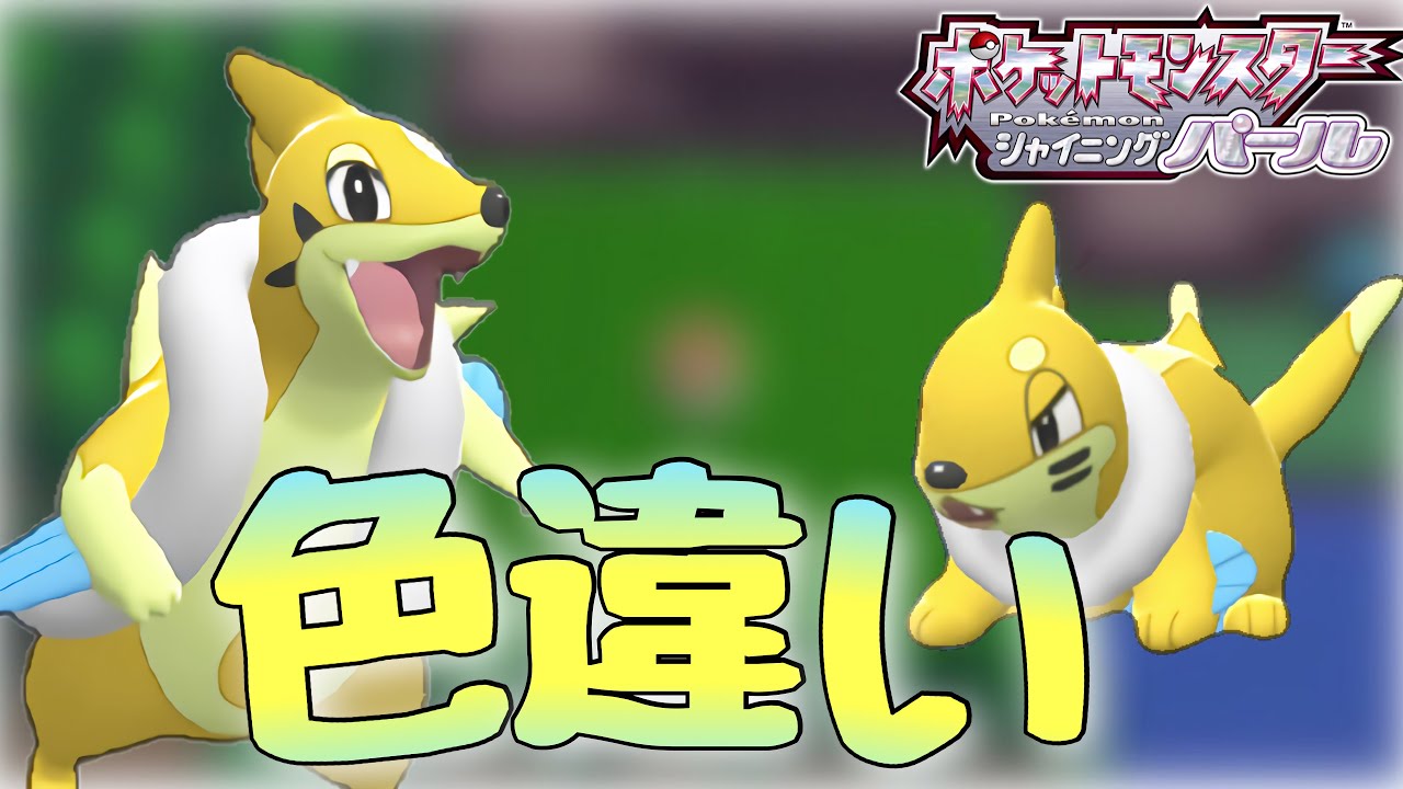 【ポケモンBDSP】リストラから復活！！ 色違いブイゼルをゲットしたい！！ 【ゆっくり実況】