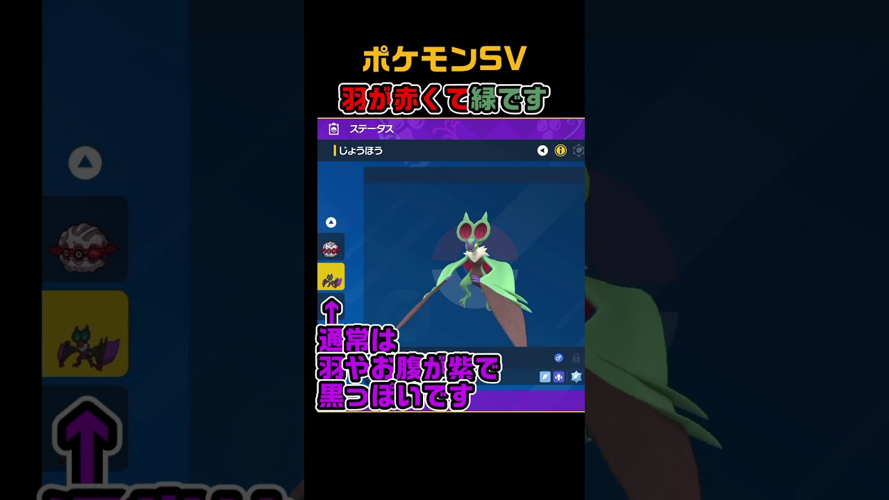 色違いオンバーン　#shorts　ポケモンSV