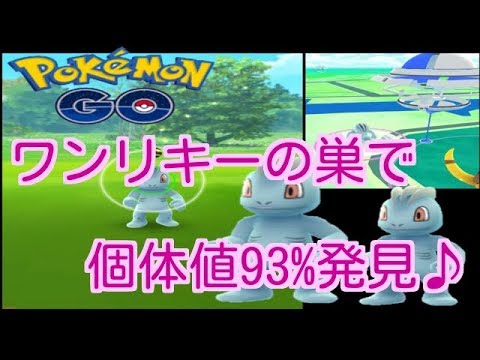 【ポケモンGO】ワンリキーの巣で個体値93%ワンリキー発見♪【PokemonGO】