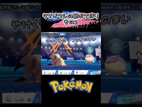 #shorts タマザラシの厨ポケ狩り【ポケモン剣盾】その2
