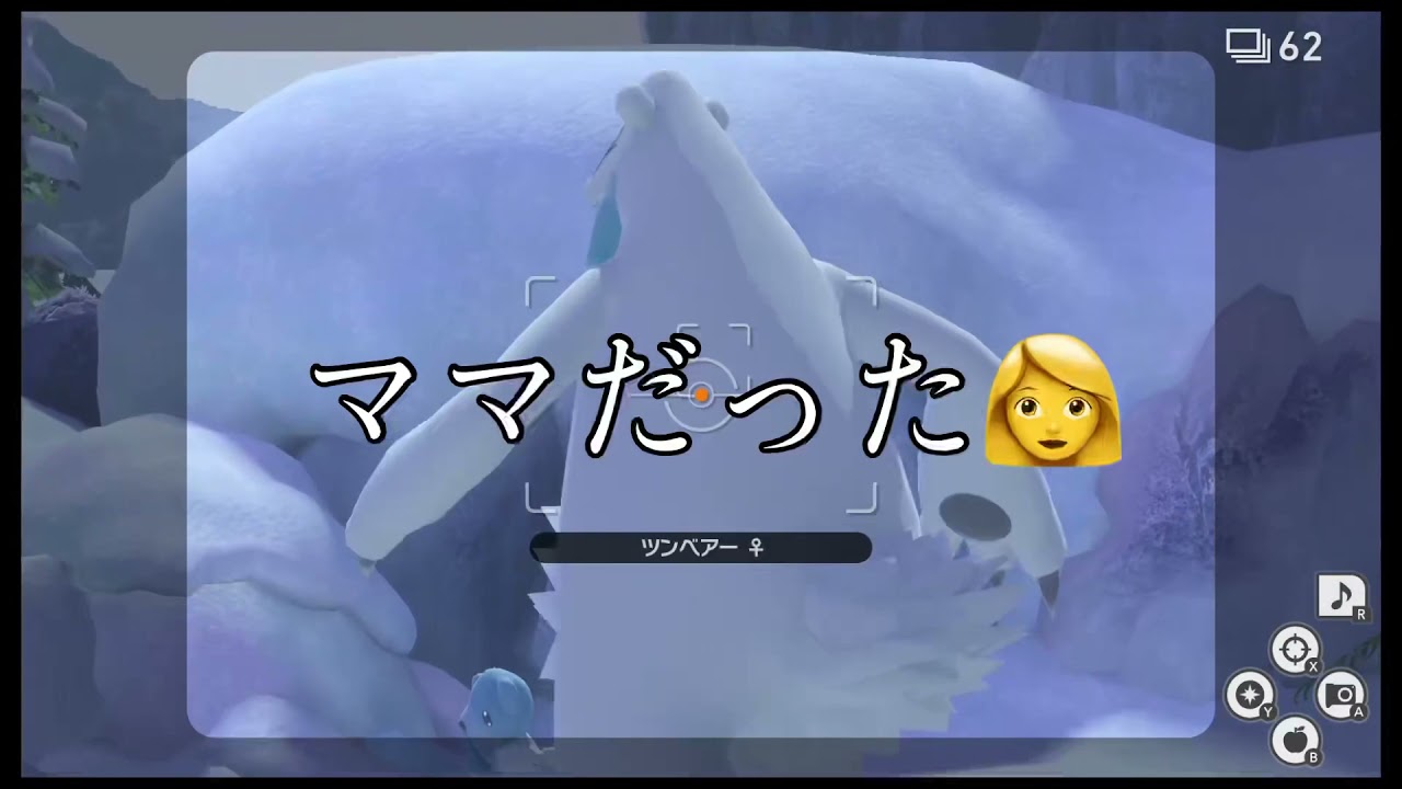 「ポッチャマとツンベアーが共生しているここは北極？南極？」Newポケモンスナップ　#Shorts
