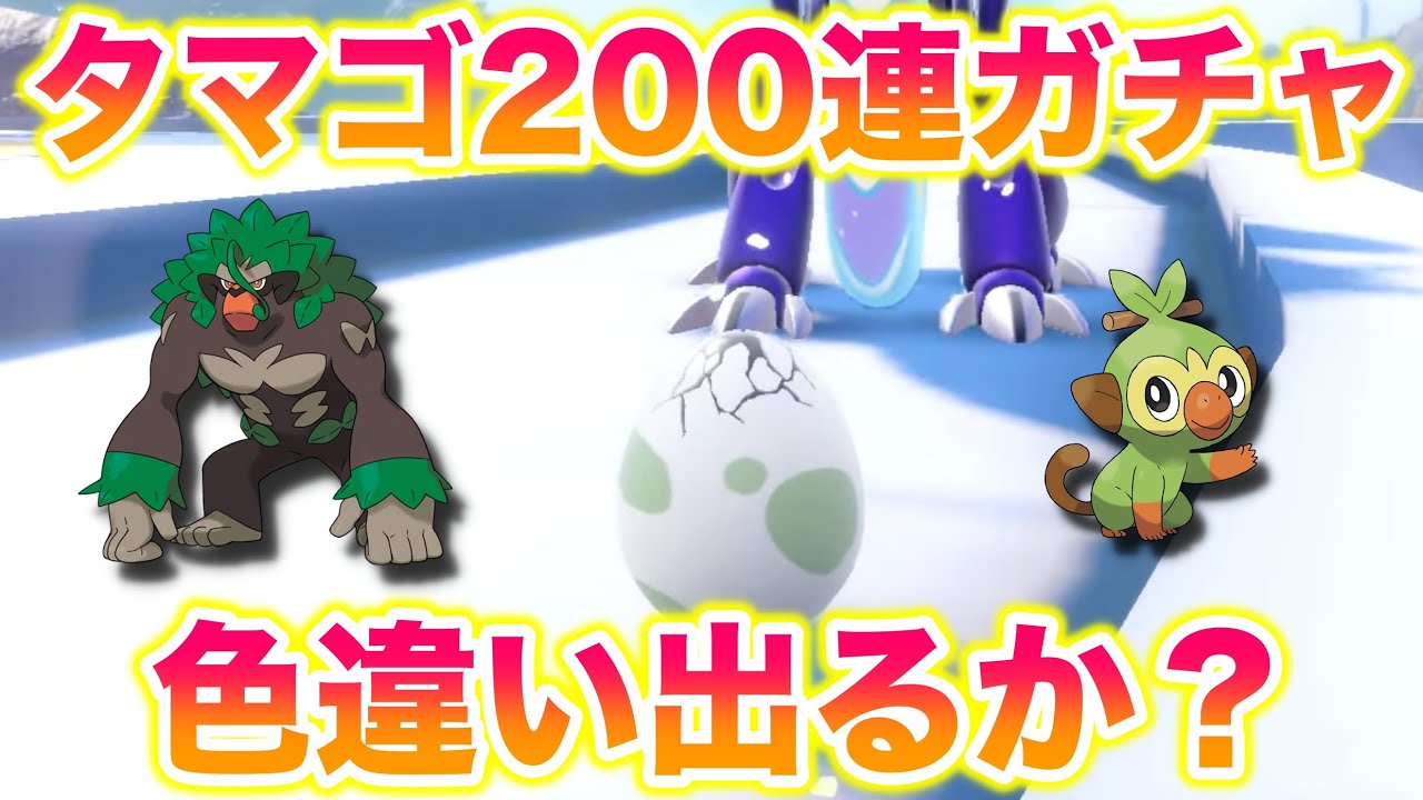 【検証】タマゴ200連ガチャで色違いサルノリを出してノリに乗ってやる！【ポケモン剣盾/SW/冠の雪原】