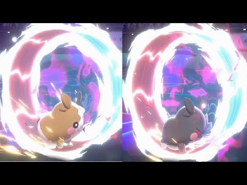 ピカチュウはもう古い！表裏一体モルペコが大活躍！？【ポケモン剣盾#16】