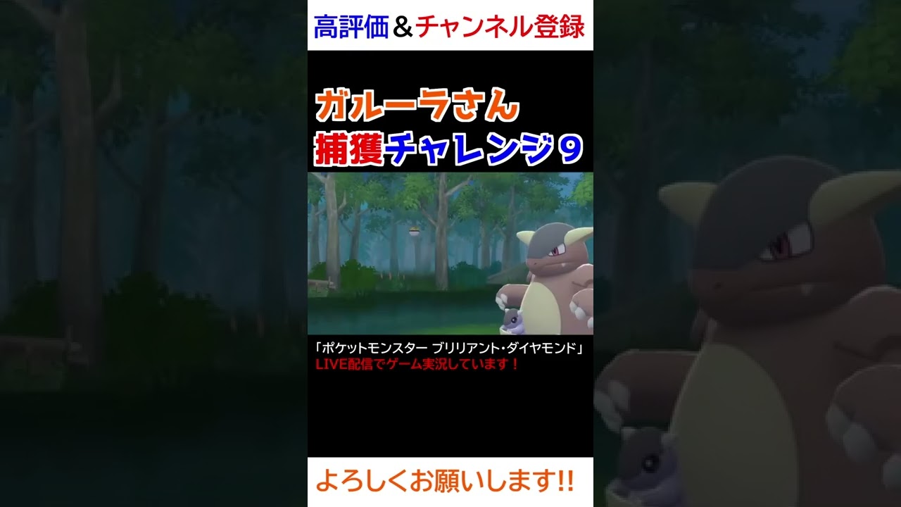 ガルーラさん捕獲チャレンジ９ｗｗｗ【ダイパリメイク】