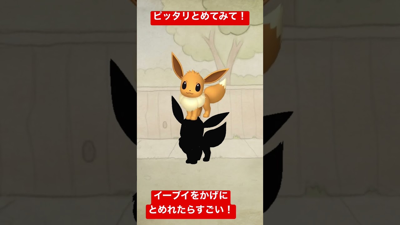 ピッタリゲーム！イーブイをかげにぴったりとめてみて！！