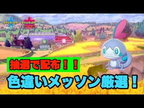 メッソン色違い厳選！出たら抽選で配布！ヒトツキ理想個体配布中