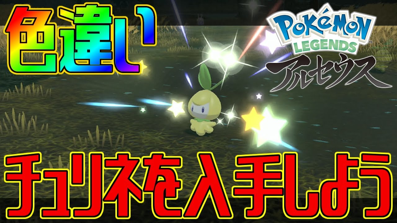 【ポケモンアルセウス】色違いチュリネを入手しよう【Pokémon LEGENDS アルセウス】