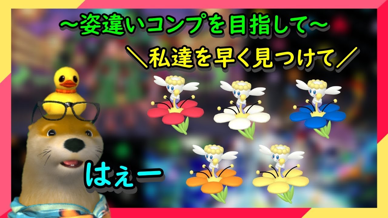 【2日目】フラベベの姿違い色違い孵化厳選 ～姿違いコンプを目指して～