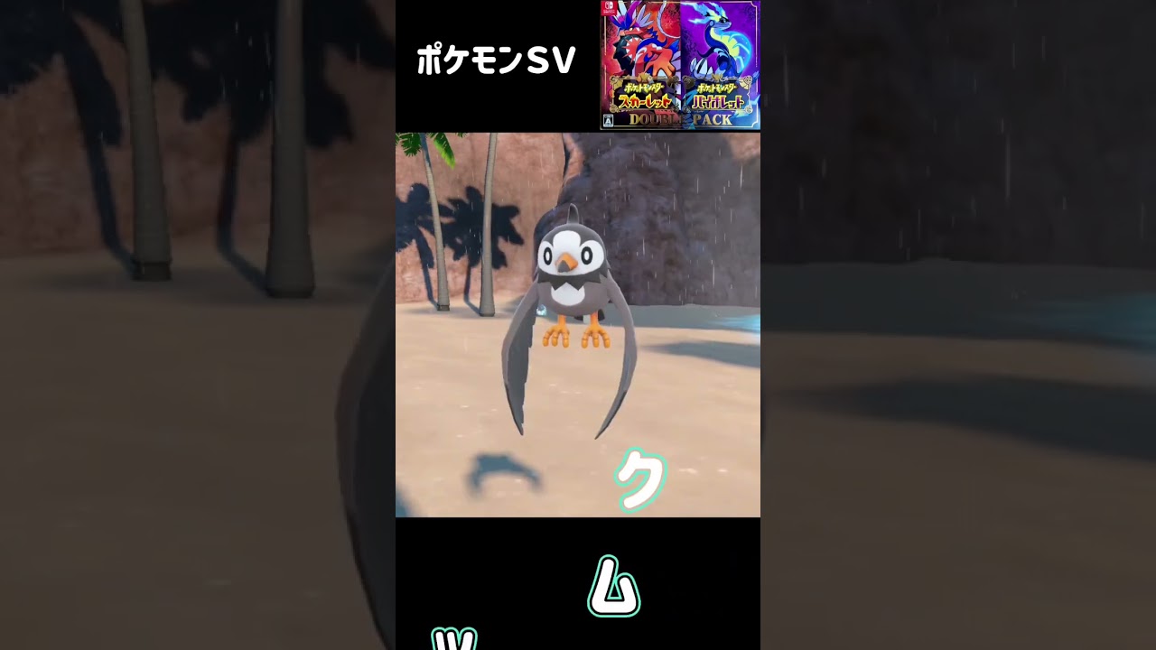 ムックル進化　ムクバード進化　ムクホーク　ポケモンSV #pokemon