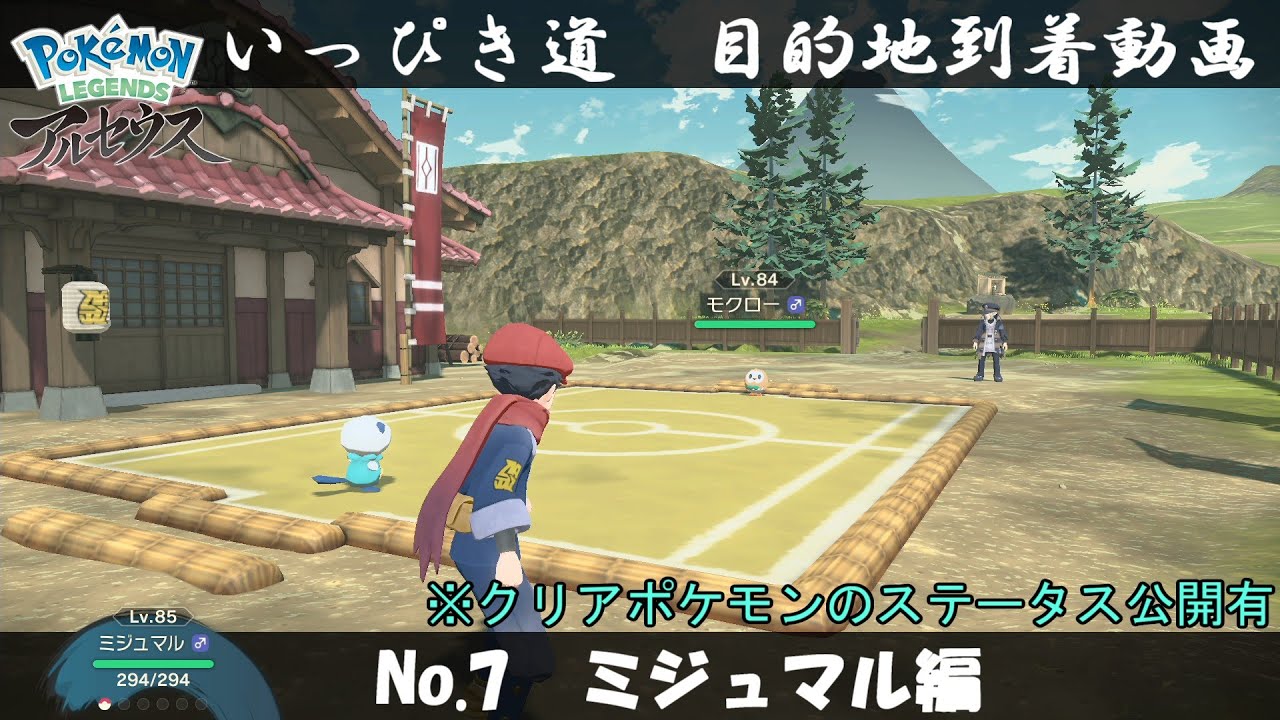 【いっぴき道攻略】No.7 ミジュマル編【Pokémon LEGENDS アルセウス】