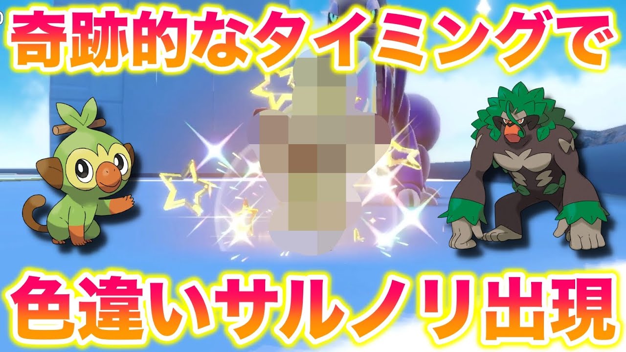 【豪運】配信中に奇跡的なタイミングで色違いサルノリが出てきたんだがww【ポケモンSV/スカバイ】