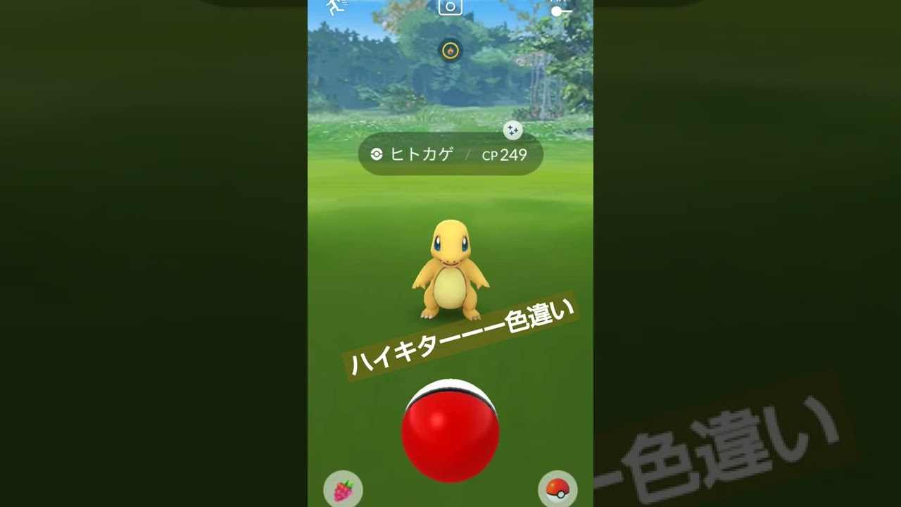 【ポケモンGO】ヒトカゲ色違い出現！#shorts #ポケモンgo #色違い