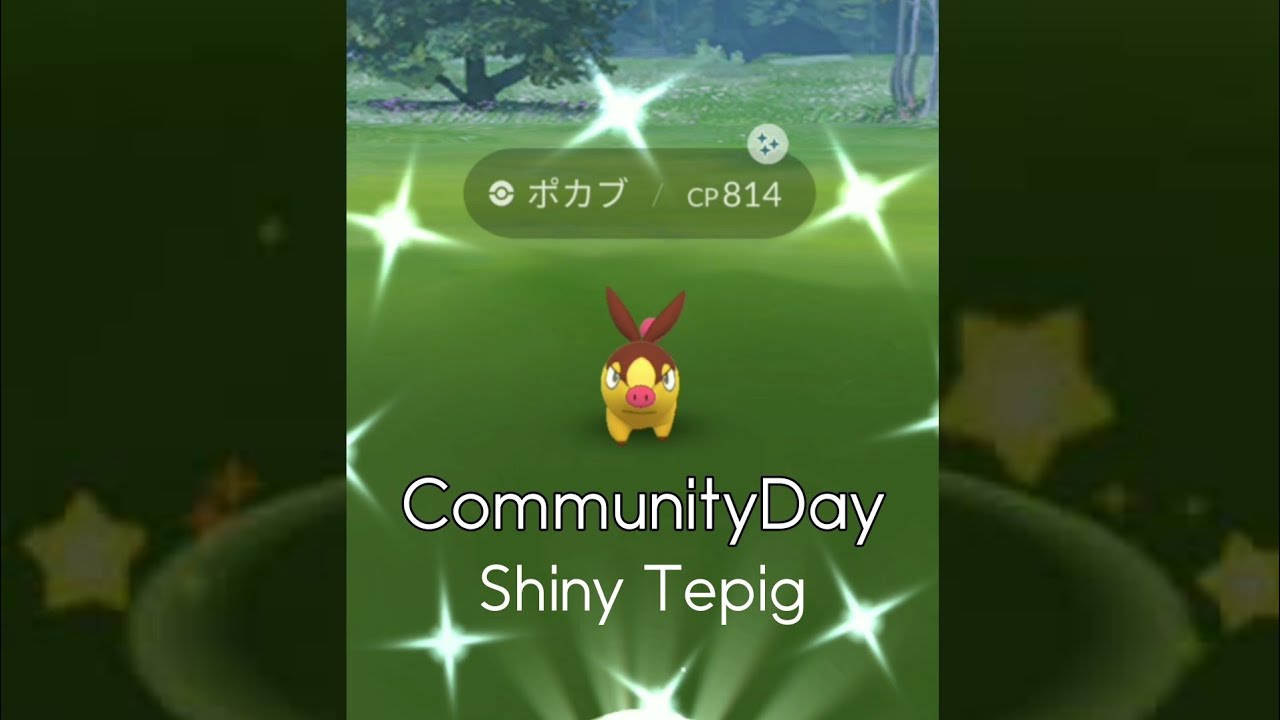 【CommunityDay】Shiny Tepig!!Pokemon Go / 色違いポカブ  ポケモンGO【コミュディ】