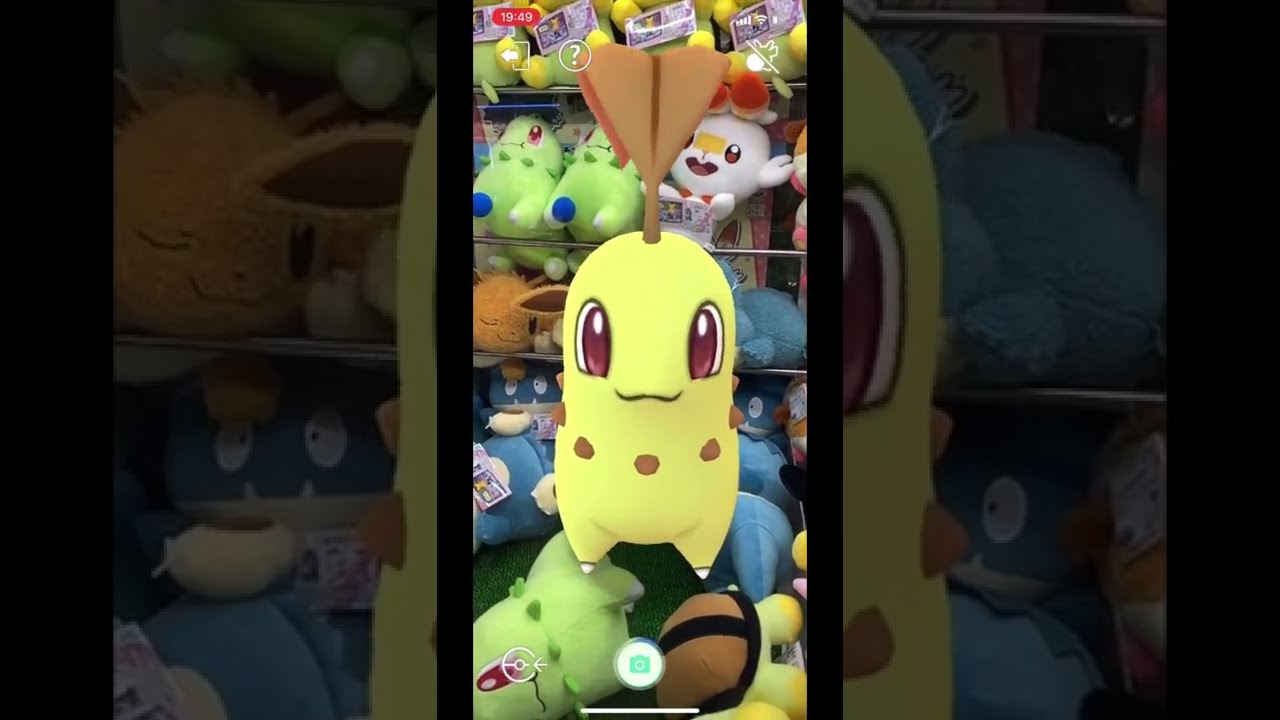 ポケモンGOのARでチコリータみっけ！ #Shorts