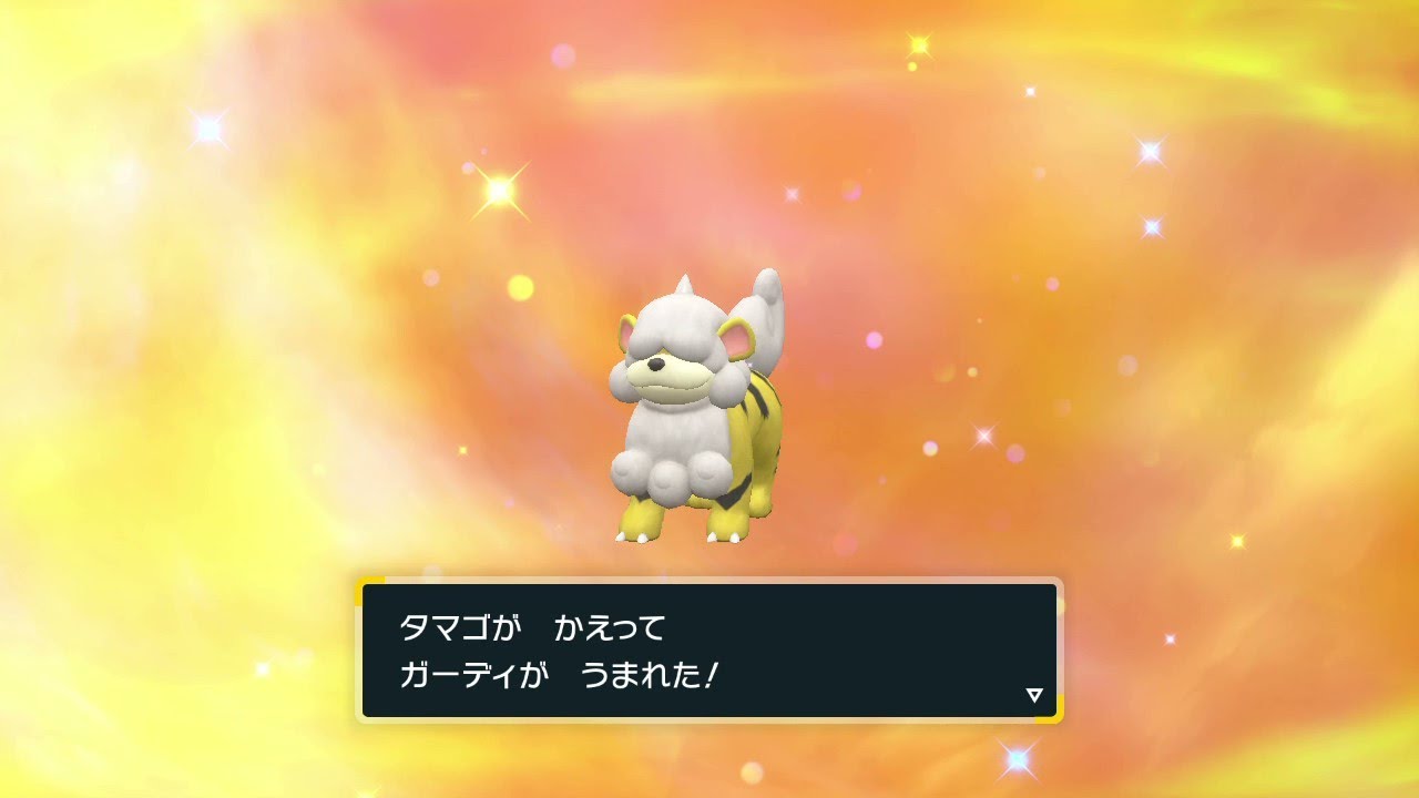 【ポケモンSV】ヒスイガーディ　色違い【国際孵化】