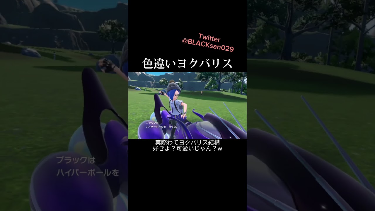 【ポケモンSV】色違いヨクバリスを求めて #ポケモンsv #ポケットモンスター #色違い #色違い厳選 #ヨクバリス #shorts