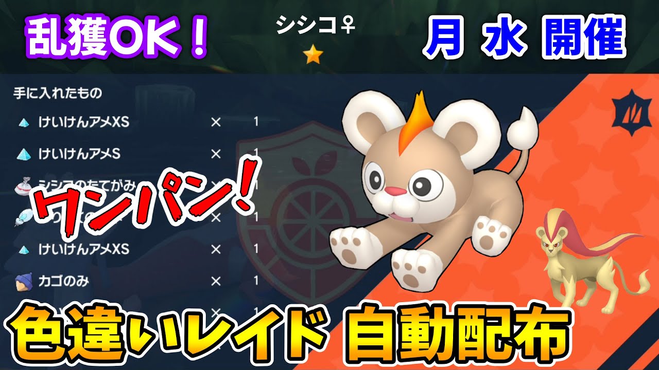 乱獲OK！色違いシシコ自動レイド配布会！【ポケモンSV】