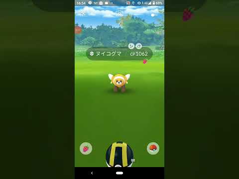 色違いヌイコグマ　ポケモンＧＯ