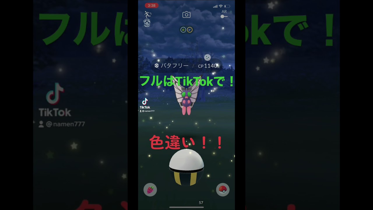 色違いバタフリー！