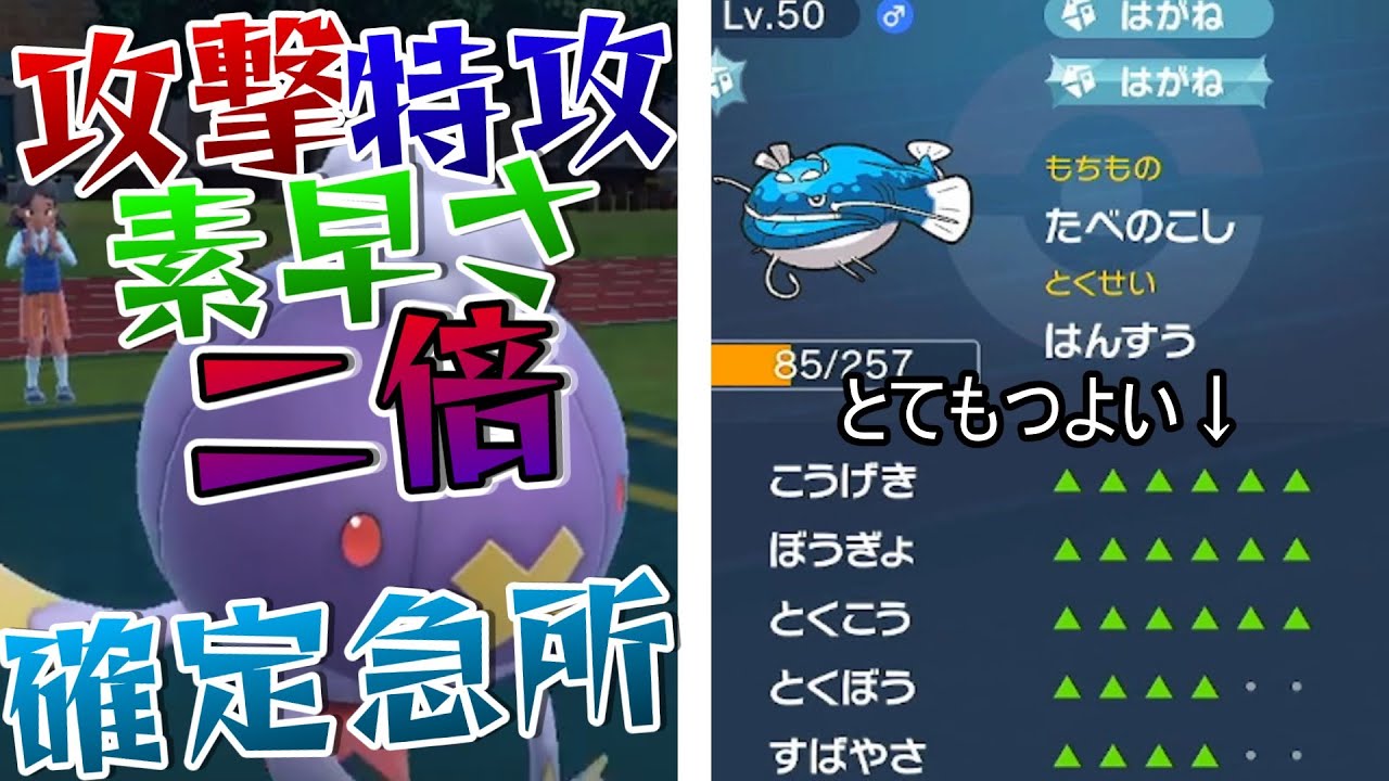 【ダブルバトル】１ターンで超能力上昇するフワライドとシャリタツ反芻型ヘイラッシャ【ポケモンSV】