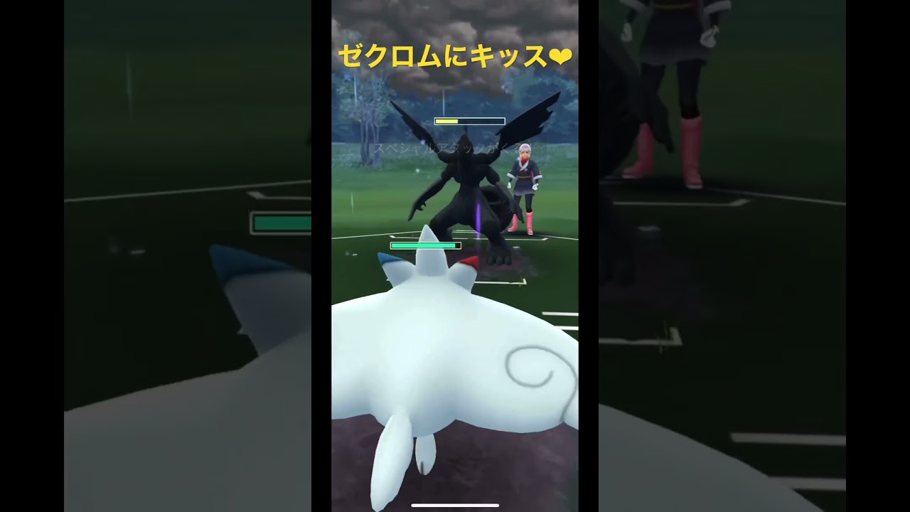 ゼクロムにキッス❤︎