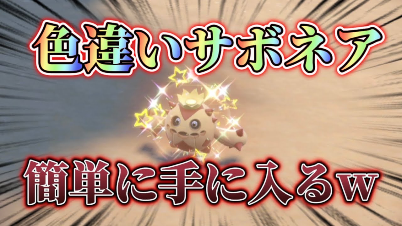 色違いサボネア簡単に手に入ります。可愛い！？【#ポケモンSV】