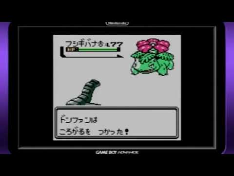 【ポケモン金銀】現地のドンファンが道具の力でレッドを倒す