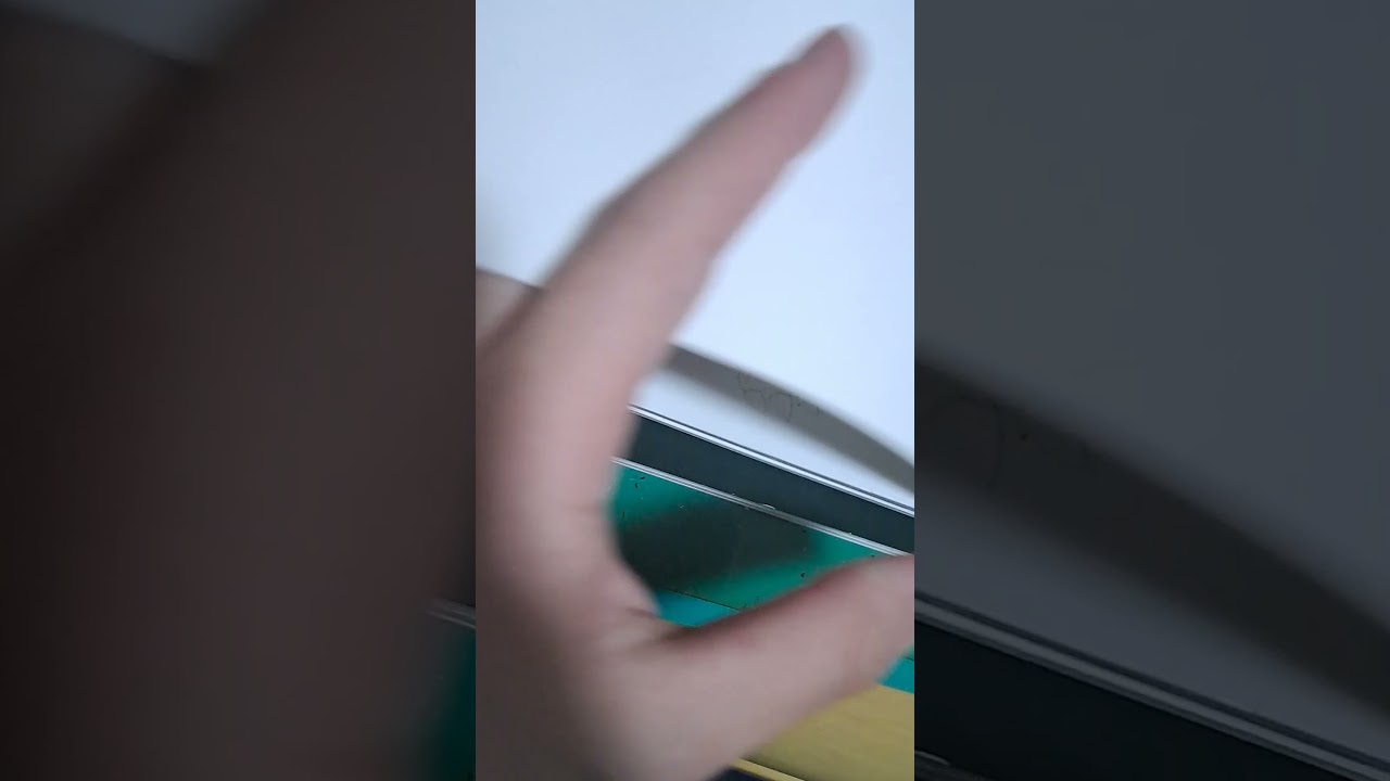 チコリータの進化系まとめてみた！