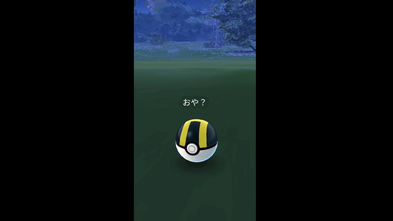 おや？親？誰？#ポケモンgo #onepiece #メタモン #ゾロア