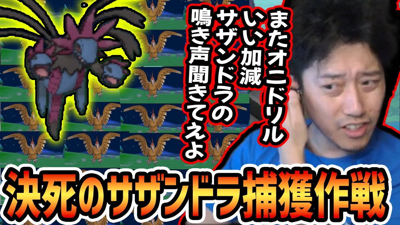 低出現率のサザンドラを求め幾多のオニドリルを越えた男の奮闘記【2023/6/3】