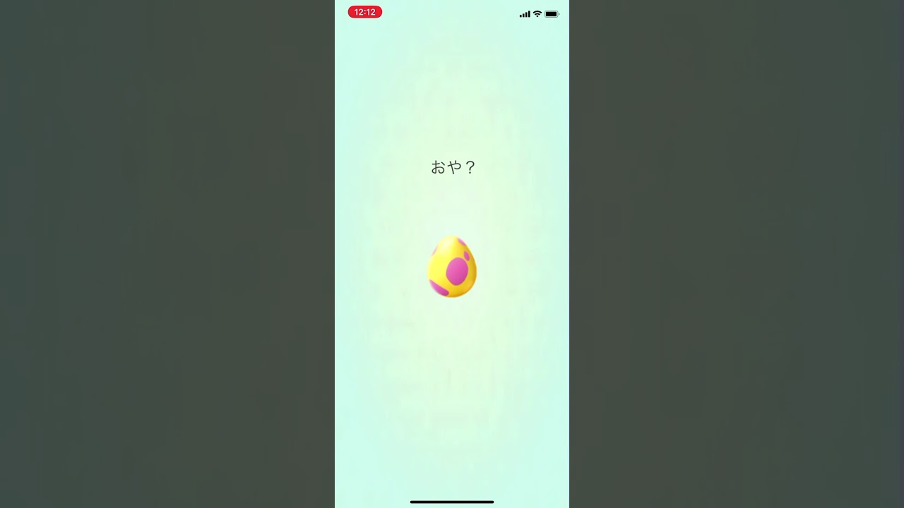 ポケモンgo 7キロタマゴ大当たり！　ガラルポニータが孵化