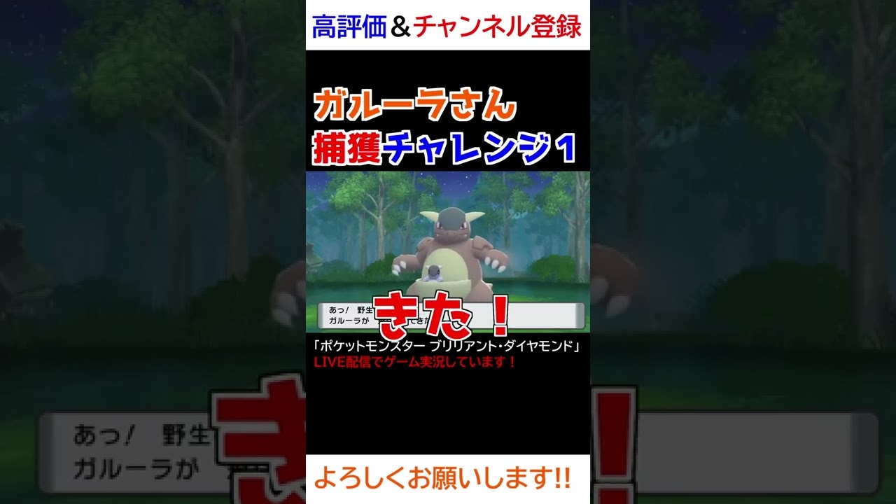 ガルーラさん捕獲チャレンジｗｗｗ【ダイパリメイク】