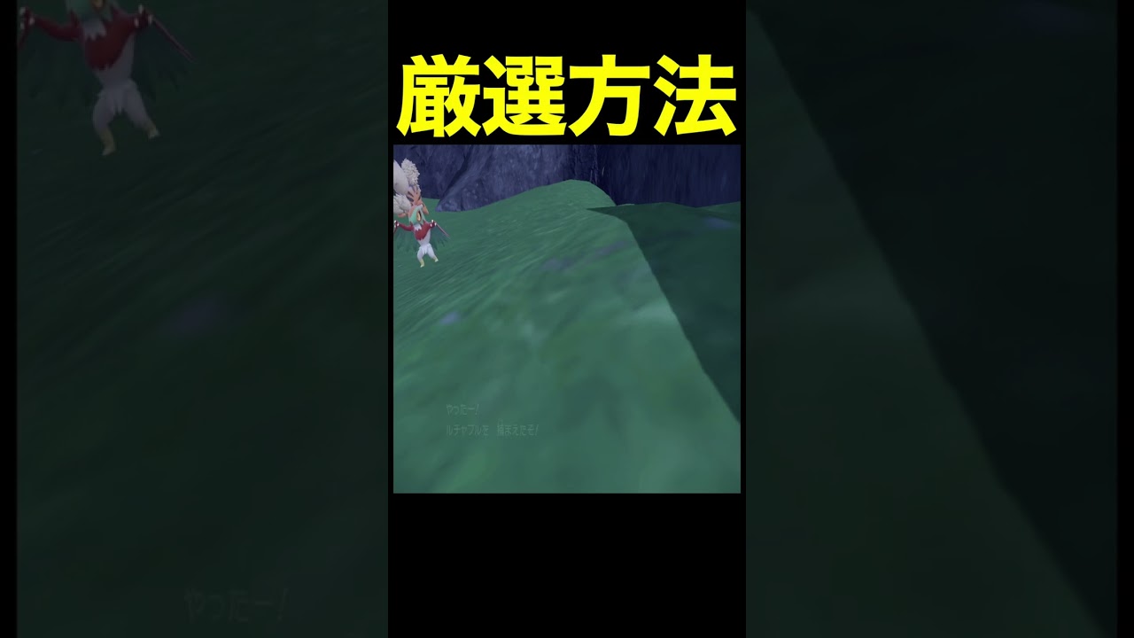 予告編【ポケモンSV】色違いルチャブル！厳選場所とサンドイッチの作り方！大量発生なしでも厳選可能！【色違いポケモン】#Shorts