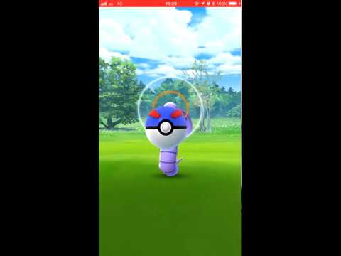 【Pokémon GO Excellent Throw】024 アーボック (Arbok)