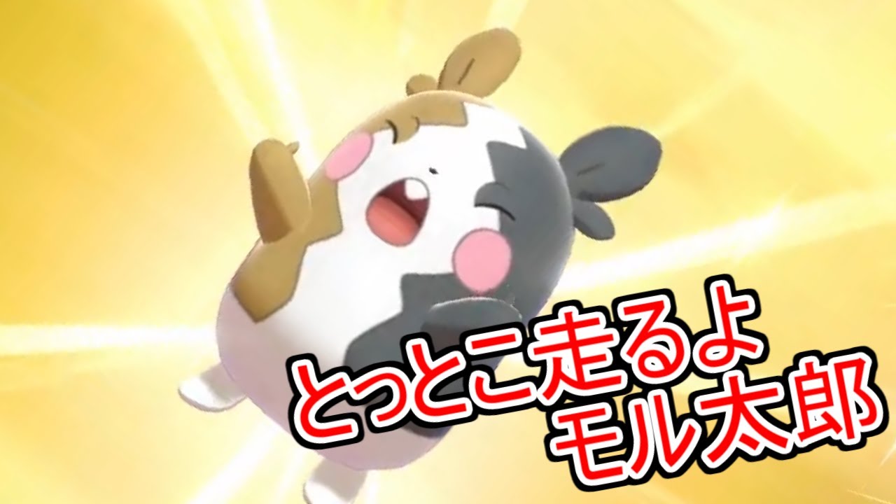 【ポケモン剣盾】色違いのモルペコGETシーン切り抜き