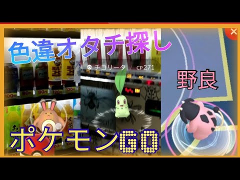 【ポケモンGO 】出でよ(っ´ω｀)っオタチの色違いーっ！
