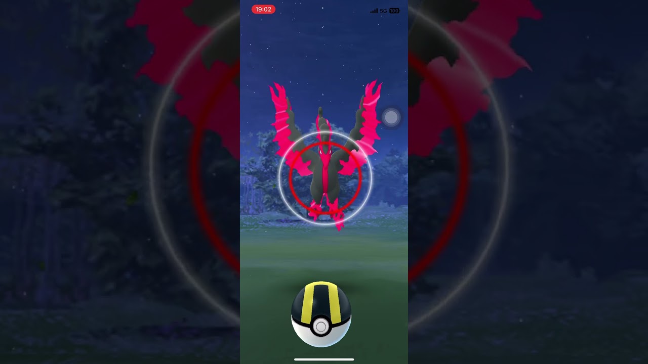 ガラルファイヤーに遭遇