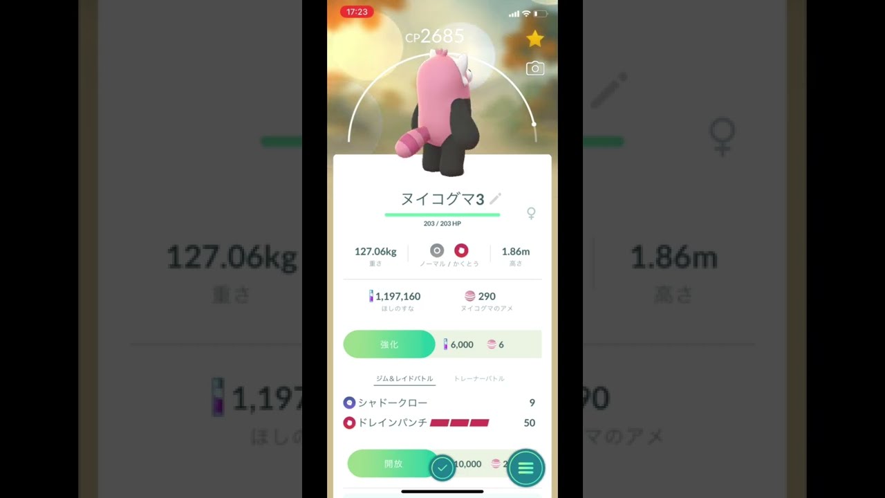 ポケモンGOでヌイコグマからキテルグマに進化！ #Shorts