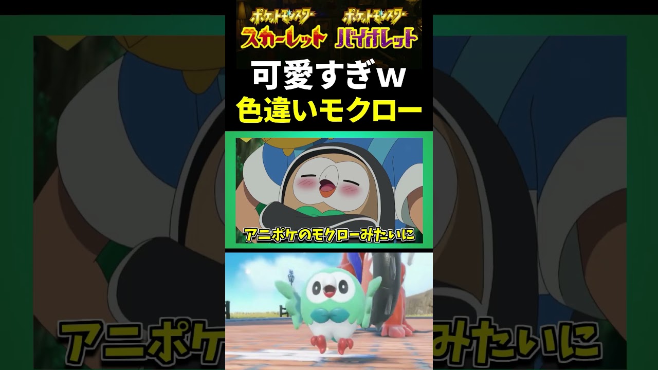【ポケモンSV】可愛すぎ注意ｗ 色違いモクローを早速孵化出来ました!! 【スカーレット】【ポケモン】【切り抜き】【色違い厳選】【色違いポケモン】#shorts