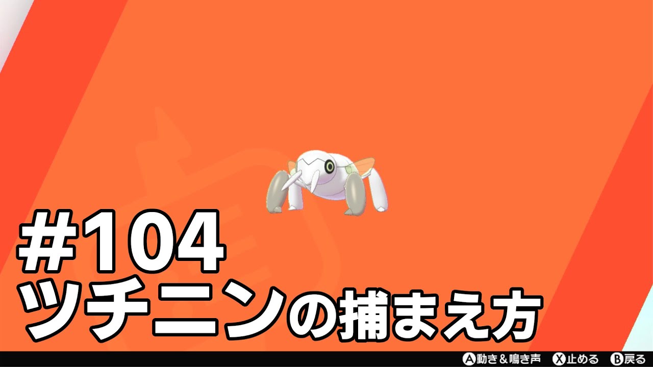 ツチニンを探している方に見てほしい動画