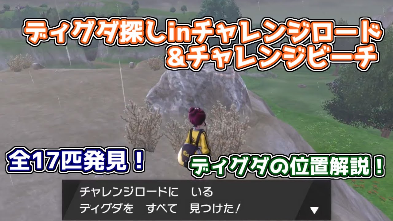 チャレンジロードとチャレンジビーチのディグダ位置解説！【ポケモン剣盾】ゆっくり解説　ディグダ150匹