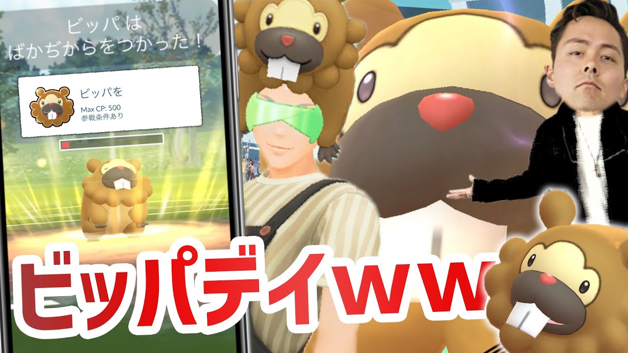 公式ビッパデイ！ビッパカップ参戦！勝利のコツは？！ビッパビッパビッパ！【ポケモンGO】