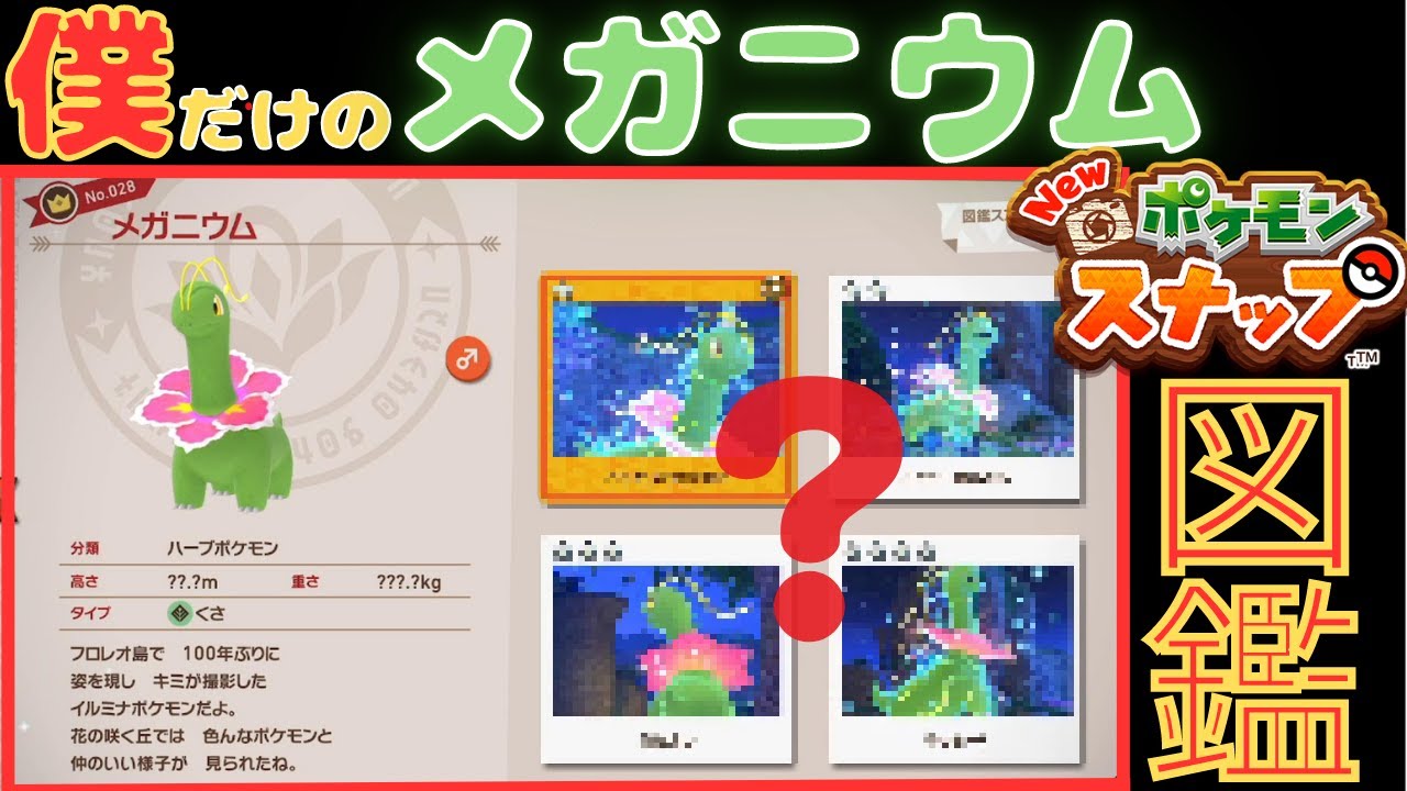 僕だけのメガニウムの最強のフォト図鑑を完成させたい！【Newポケモンスナップ】【番外編】
